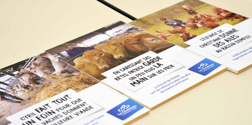 Rencontre avec Anjou Agricole (foirail)