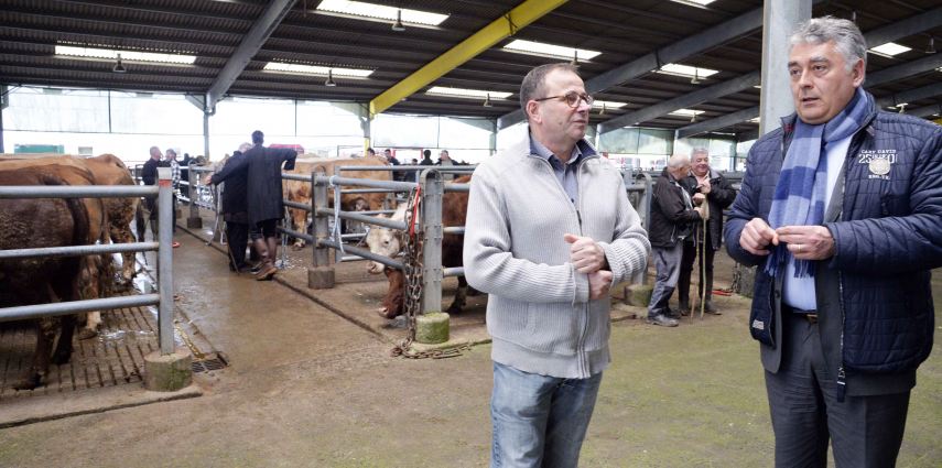 Rencontre avec Anjou Agricole (foirail)