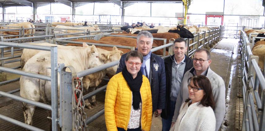 Rencontre avec Anjou Agricole (foirail)